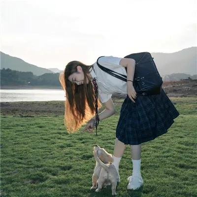 合子异种
